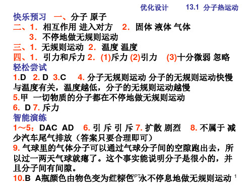 九年级物理优化设计答案全册ppt课件