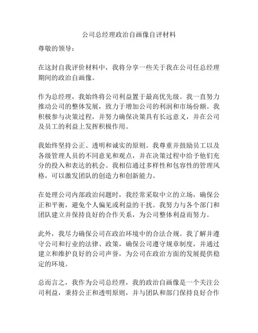 公司总经理政治自画像自评材料