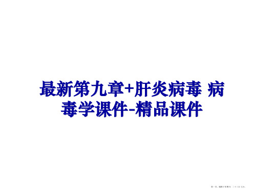 最新第九章+肝炎病毒 病毒学课件-精品课件