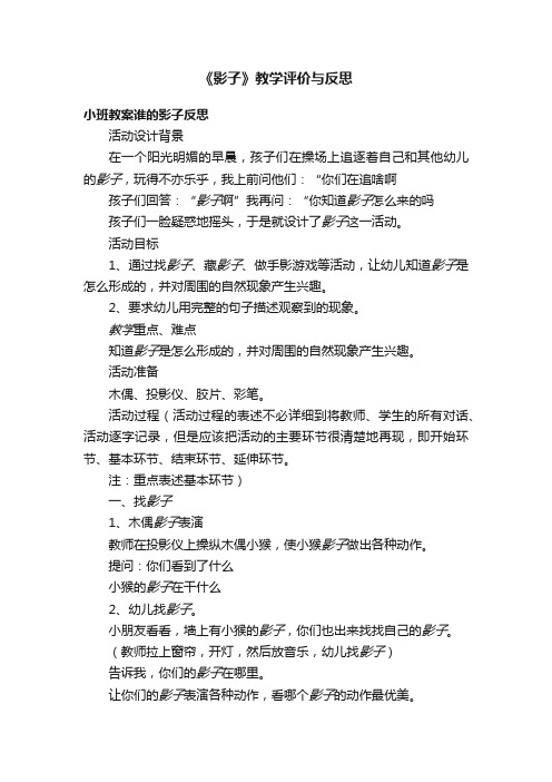 《影子》教学评价与反思