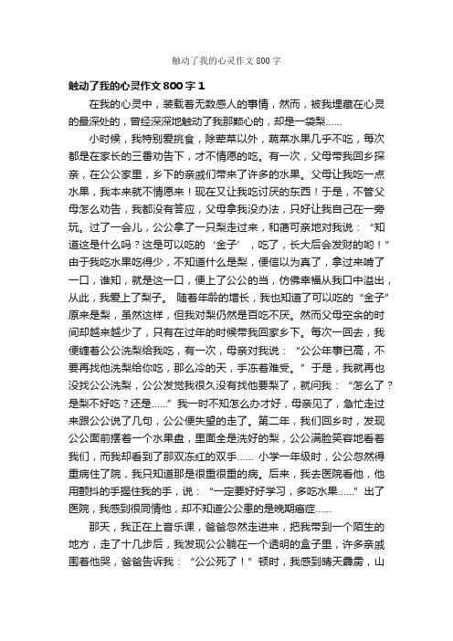 触动了我的心灵作文800字