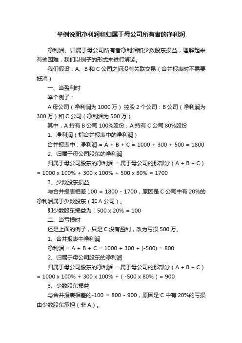 举例说明净利润和归属于母公司所有者的净利润