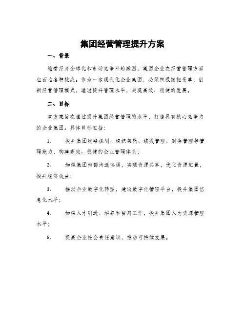 集团经营管理提升方案