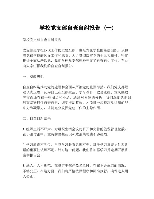 学校党支部自查自纠报告 (一)