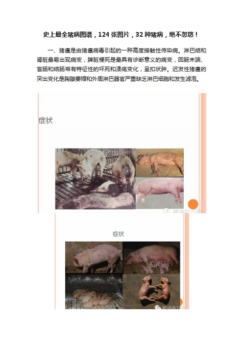 史上最全猪病图谱，124张图片，32种猪病，绝不忽悠！