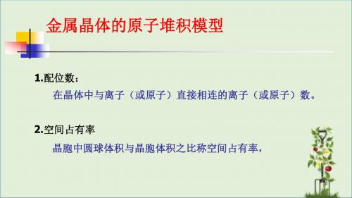 金属晶体的原子堆积模型