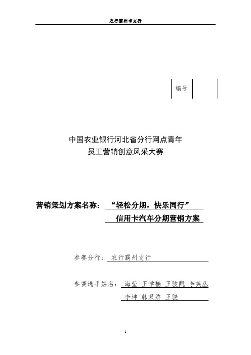 A农行信用卡汽车分期营销策划书