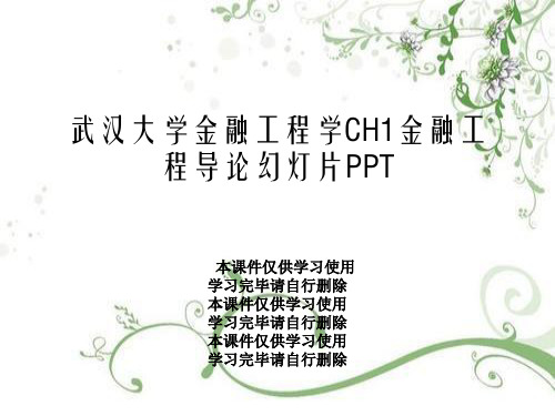 武汉大学金融工程学CH1金融工程导论幻灯片PPT