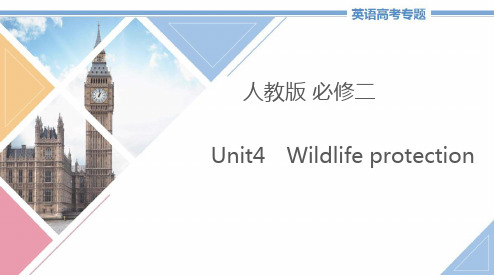 高中英语必修二Unit4《Wildlifeprotection》教学课件