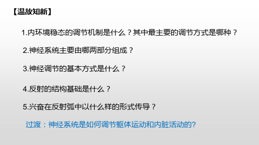 (2019人教版)选择性必修一2.4神经系统的分级调节