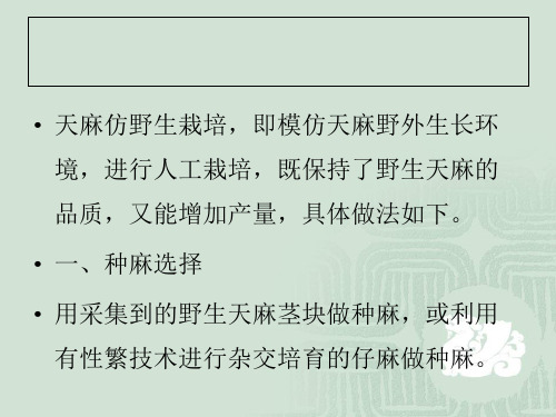 种植天麻如何仿野生栽培的经验