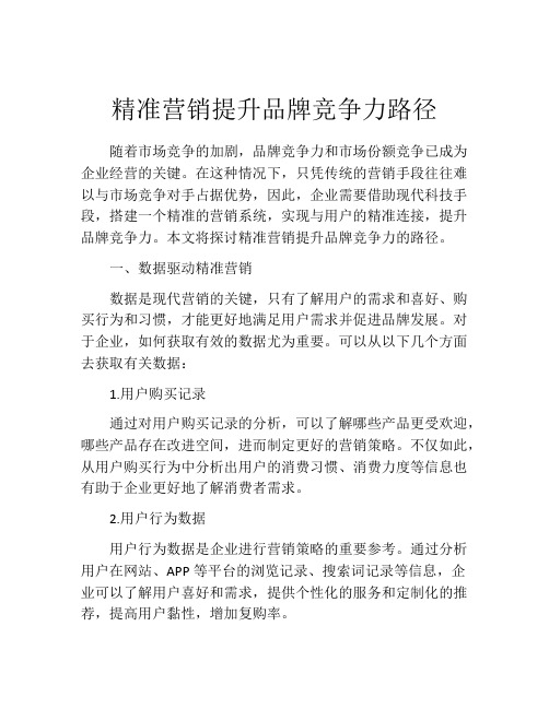 精准营销提升品牌竞争力路径