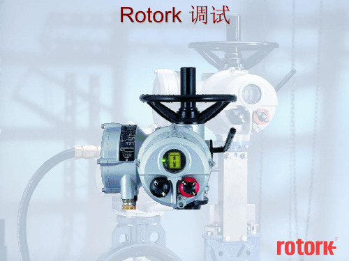 锅炉rotork执行机构调试与常见故障处理