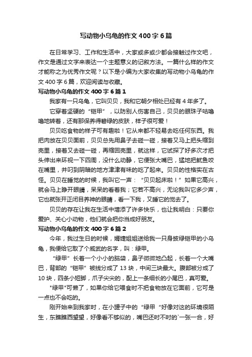 写动物小乌龟的作文400字6篇