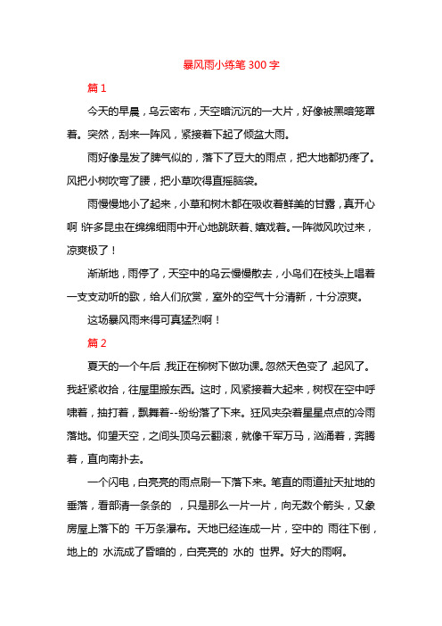 暴风雨小练笔300字