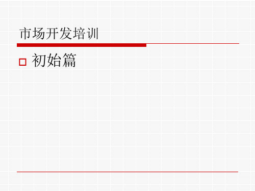 市场开发培训初始篇PPT实用课件(共46页)