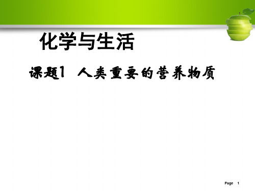 人类重要的营养物质PPT课件