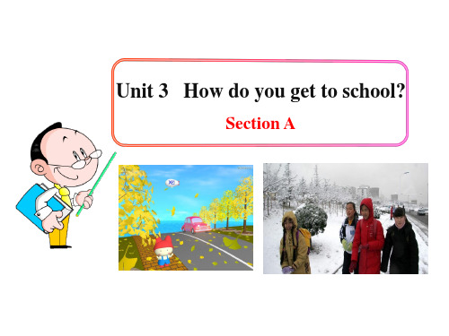 How do you get to school课件
