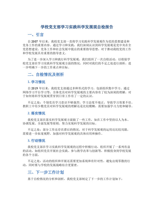 学校党支部学习实践科学发展观自检报告