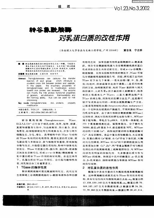 转谷氨酰胺酶对乳蛋白质的改性作用