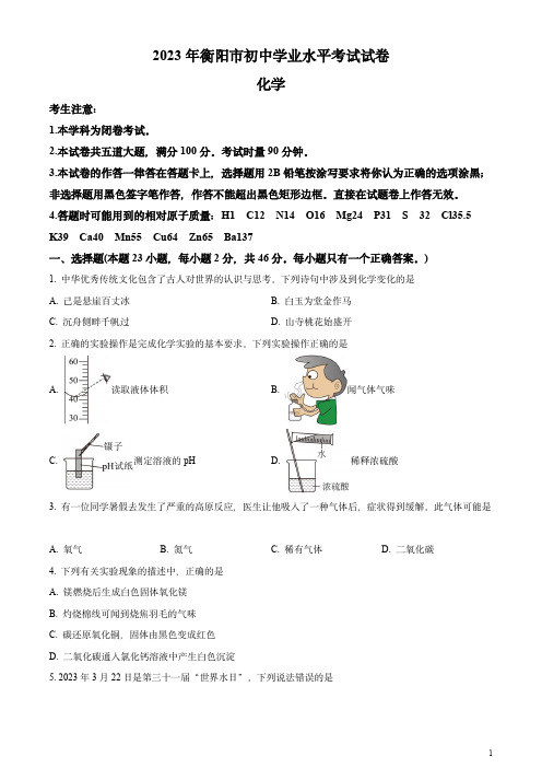 2023年湖南省衡阳市中考化学真题(原卷版)