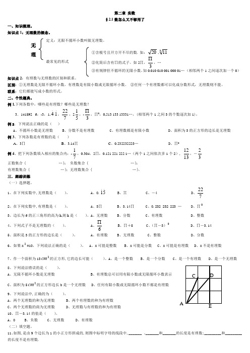 八年级数学第二章_实数