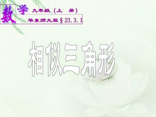 23.3.1相似三角形(华师大版)优秀