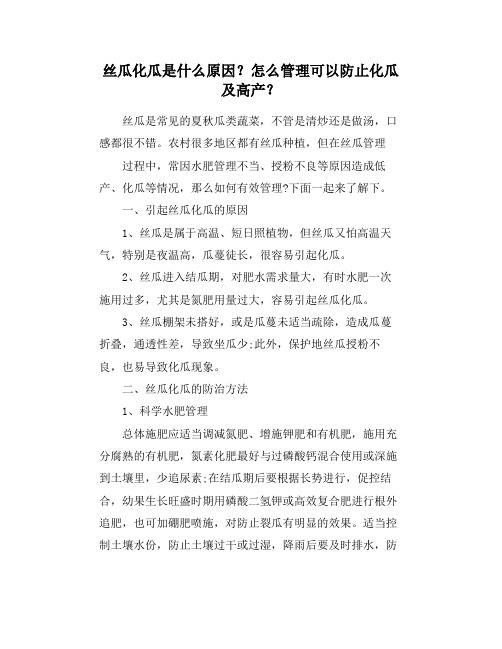 丝瓜化瓜是什么原因？怎么管理可以防止化瓜及高产？