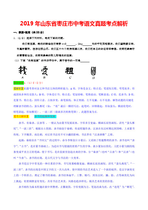 2019年山东省枣庄市中考语文真题考点解析