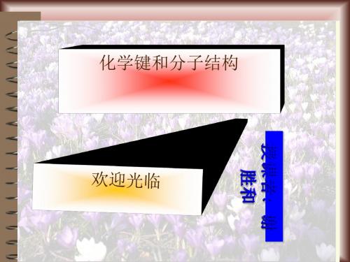 化学键和分子结构ppt 鲁科版