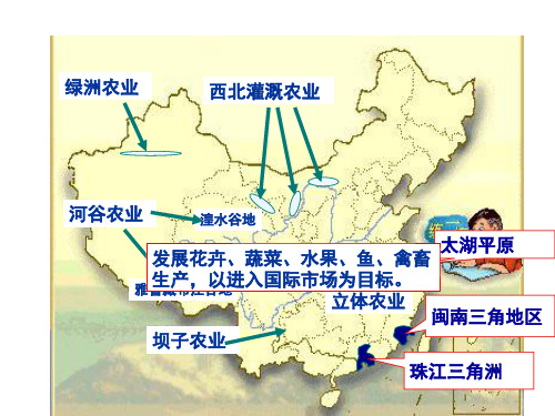 四川省成都市第七中学高三地理一轮复习 区域地理中国地理中国农业的发展课件