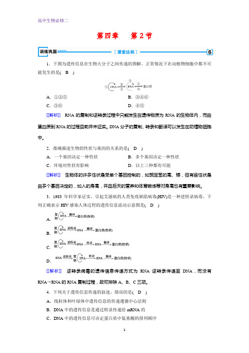 人教版生物必修二导学同步练习：第4章 第2节 基因对性状的控制 训练