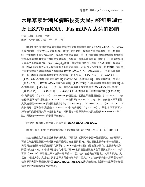 木犀草素对糖尿病脑梗死大鼠神经细胞凋亡及HSP70 mRNA、Fas mRNA表达的影响