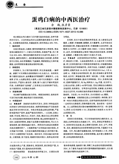 蛋鸡白痢的中西医治疗