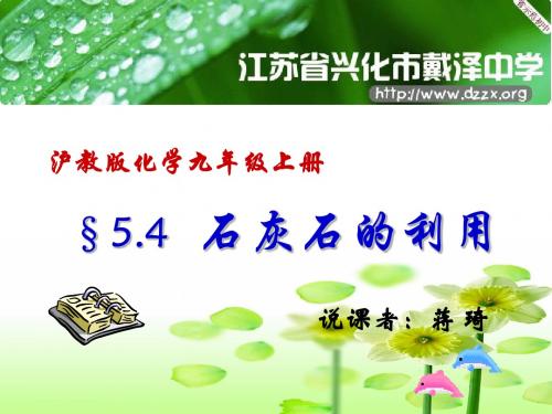 石灰石的利用说课