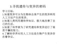 寻找遗传与变异的秘密ppt课件