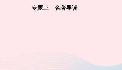 安徽省2019年中考语文第1部分专题3名著导读复习课件20190110331