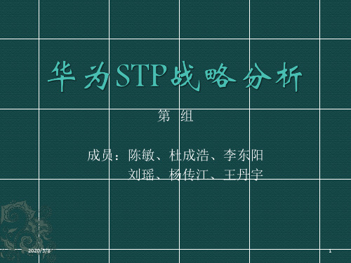 华为STP战略分析1