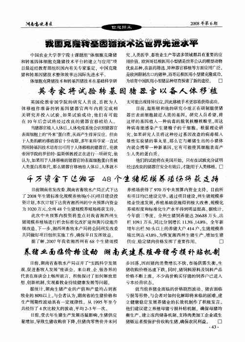 英专家试验转基因猪器官以备人体移植
