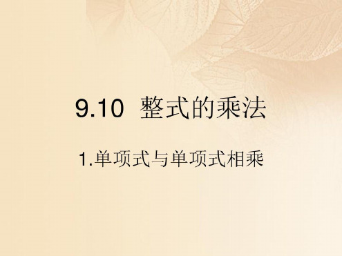 上海市松江区七年级数学上册910整式的乘法(1)沪教版五四制_2022年学习资料