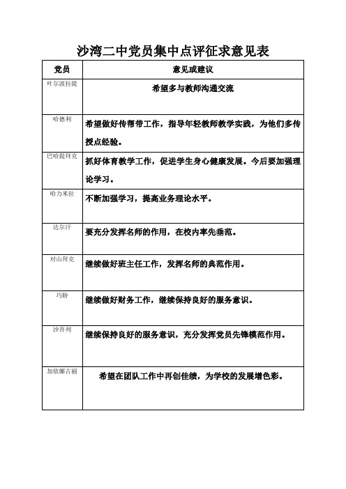 集中点评征求意见表党员