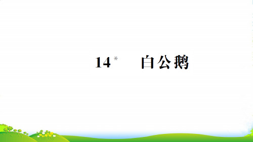 新人教版四年级语文上册第四组14白公鹅习题课件