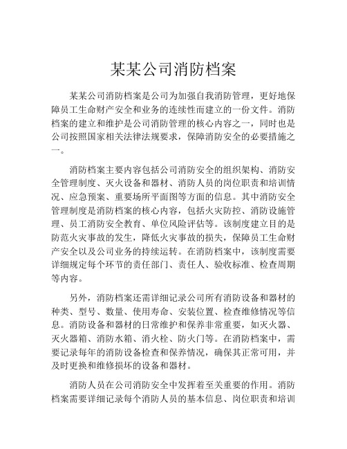 某某公司消防档案