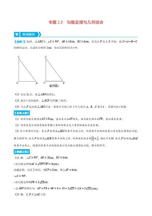 专题2.3 勾股定理与几何综合(压轴题专项讲练)(浙教版)(解析版)