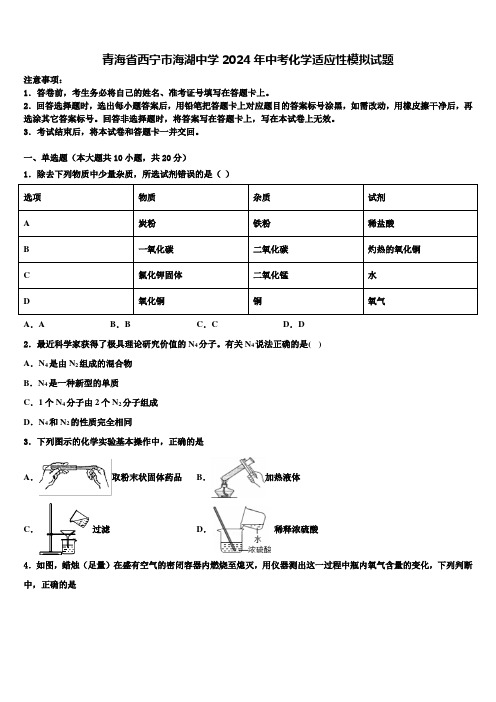 青海省西宁市海湖中学2024届中考化学适应性模拟试题含解析