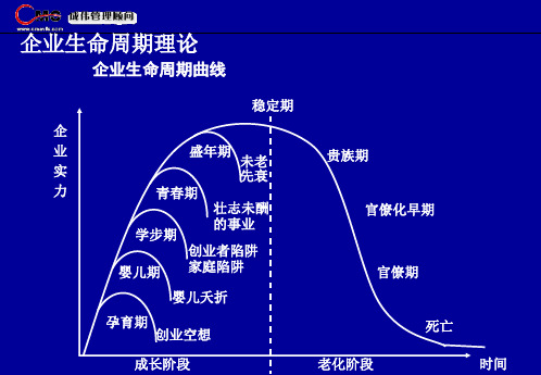 生命周期曲线