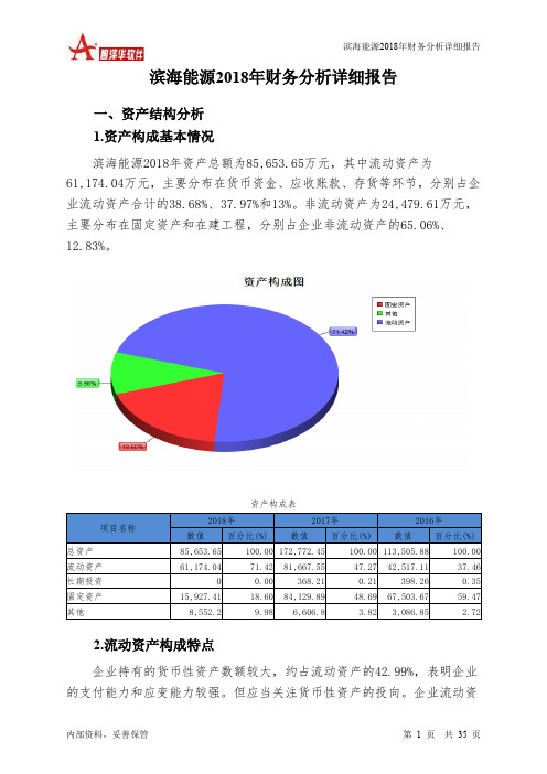 滨海能源2018年财务分析详细报告-智泽华