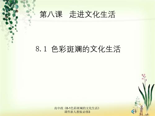 高中政《8-1色彩斑斓的文化生活》课件新人教版必修3