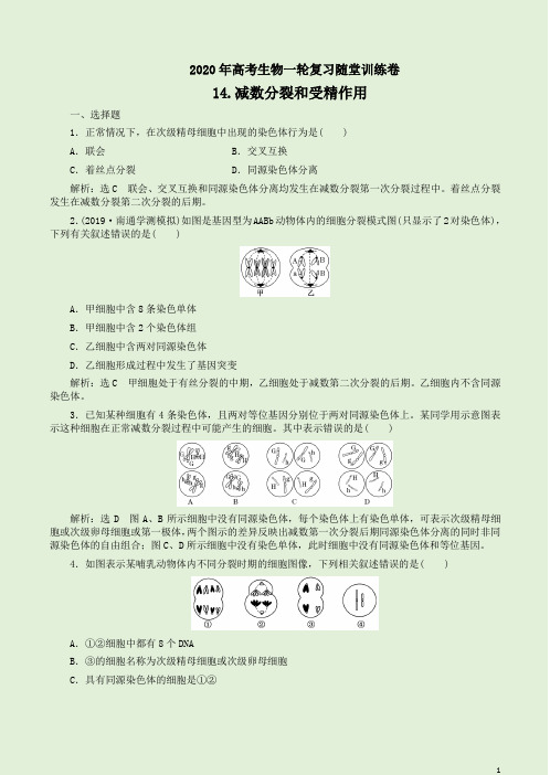 2020年高考生物一轮复习随堂训练卷【14.减数分裂和受精作用】附答案详析