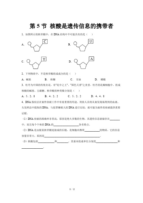 人教新课标高中生物必修一第5节 核酸是遗传信息的携带者 基础练习